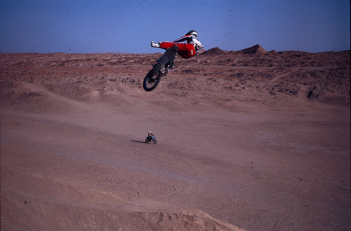 metzcanocotillo.jpg