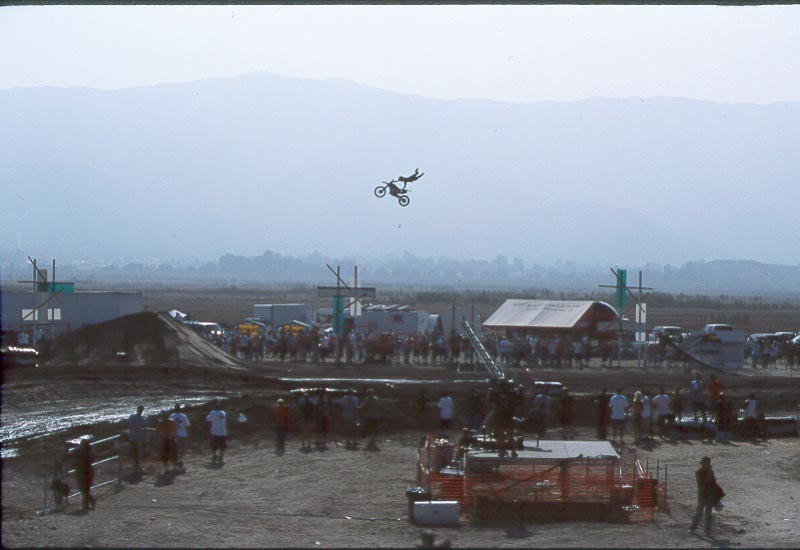 pic2.jpg